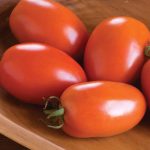 Amish Paste Organic Tomato Seeds