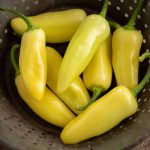 Arriba (F1) Jalapeño Pepper Seeds