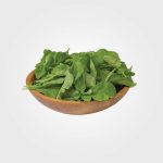 Arugula (Standard) Salad Arugula Seeds