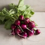 Bacchus (F1) Radish Seeds