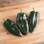 Baron (F1) Poblano Pepper Seeds