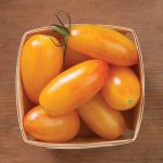 Blush Organic Tomato Seeds