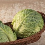 Clarissa (F1) Cabbage Seeds