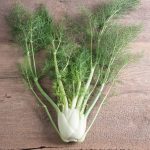 Fino Organic Fennel Seeds