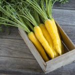 Gold Nugget (F1) Carrot Seeds