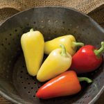 Havasu (F1) Santa Fe Pepper Seeds