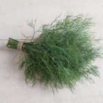 Hera Organic Dill Seeds
