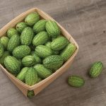 Mexican Sour Gherkin Cucumber Seeds