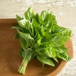 Newton Basil Seeds