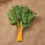 Oriole Organic Swiss Chard Seeds
