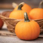 Wee-B-Little Pumpkin Seeds