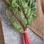 Ruby Red Organic Swiss Chard Seeds