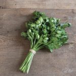 Giant of Italy Organic Parsley Seeds