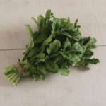 Esmee Organic Salad Arugula Seeds