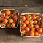 Sun Gold (F1) Tomato Seeds