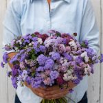Timeless Mix Ageratum Seeds