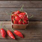 Hot Paper Lantern Organic Habanero Pepper Seeds