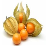 Cape Gooseberry Seeds