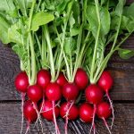 red Radish Seeds