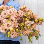 Voyage 2 Light Apricot Pelleted (F1) Lisianthus Seeds