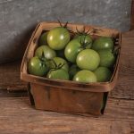 Sungreen 4029 (F1) Tomato Seedling