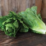 Chalupa Organic Lettuce Seeds