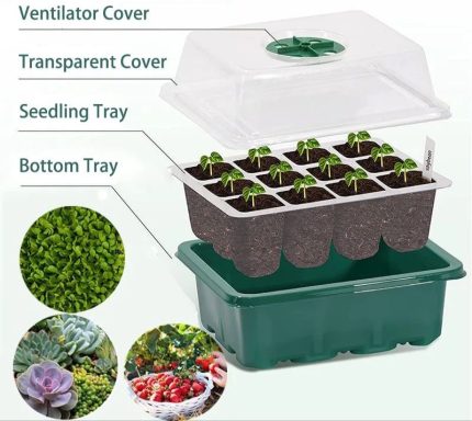 Seedling Tray (Green - 12)