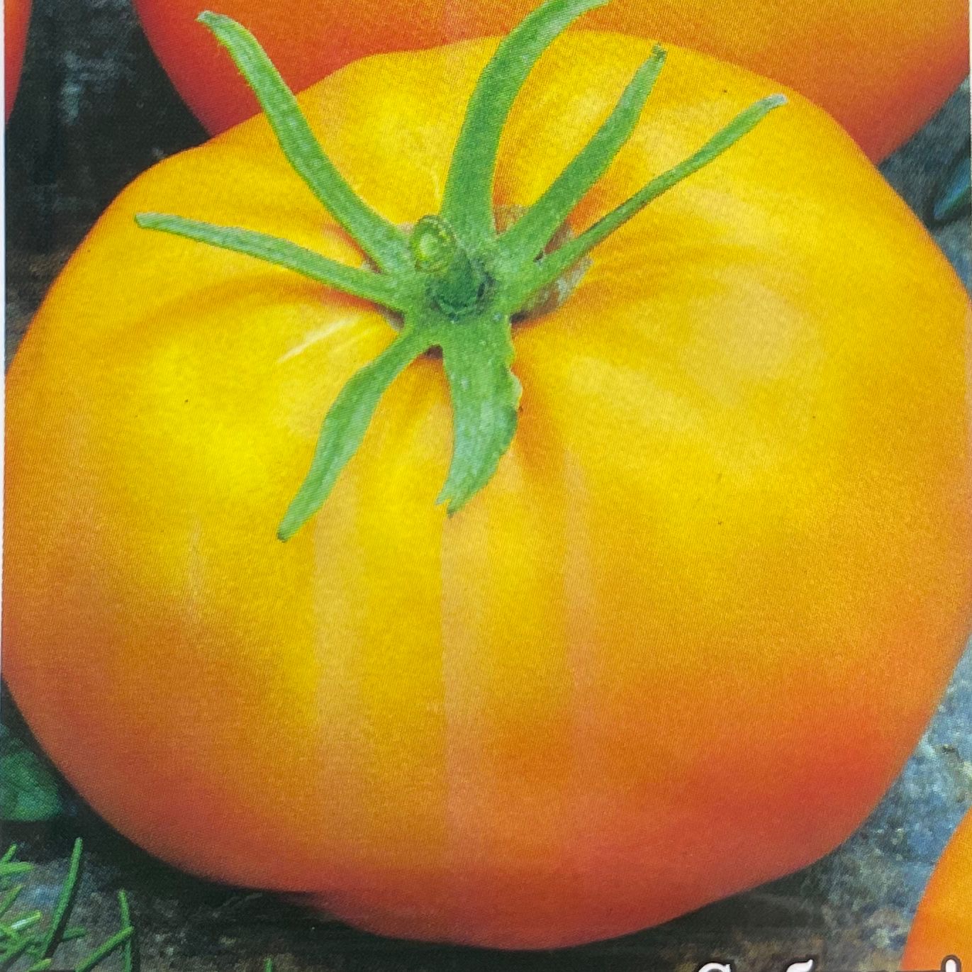 916cdd2e-e5ec-47eb-ae33-4b25e6b6f44b