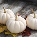Casperita (F1) Pumpkin Seeds
