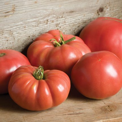 German Johnson Organic Tomato Seeds