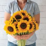 Sunrich Summer Provence (F1) Sunflower Seeds