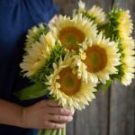 ProCut® White Lite (F1) Sunflower Seeds
