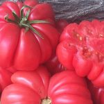 Mushroom Basket Tomato Seeds