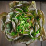 Bronze Mignonette Lettuce Seeds
