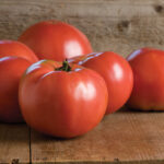Martha Washington Organic (F1) Tomato Seedling